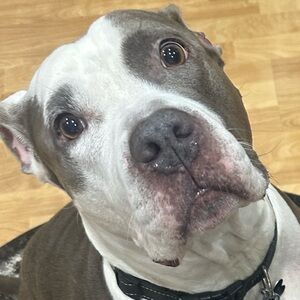 Meet your Posher, Mel